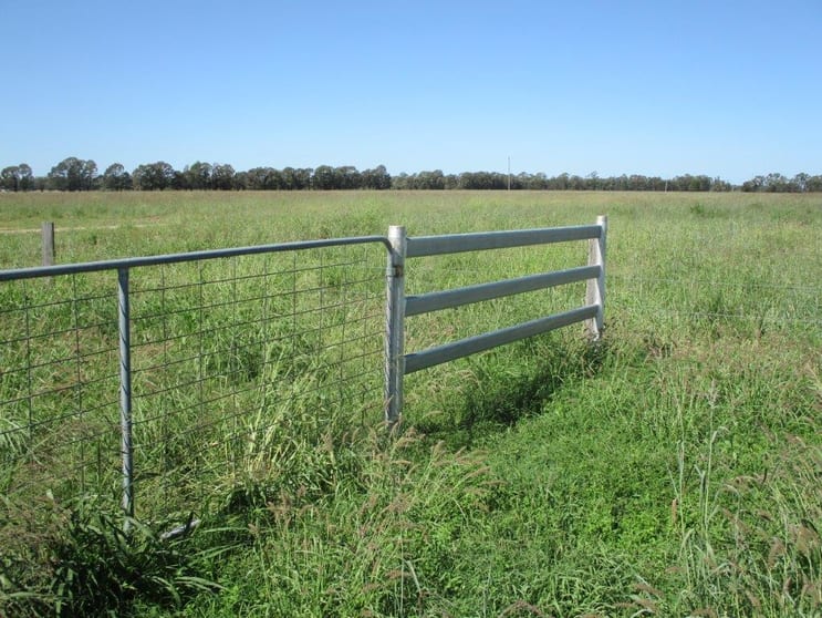 Click to view all images "GLENCOE" 1279 ACRES Chinchilla QLD 4413 - Image 3