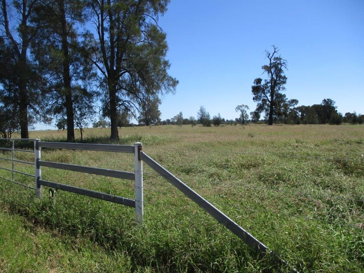 INVESTMENT OPPORTUNITY Chinchilla QLD 4413 - Image 3