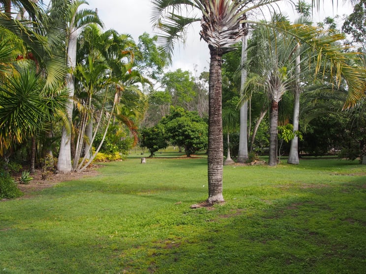 Click to view all images 794 BUXTON ROAD Isis River QLD 4660 - Image 2