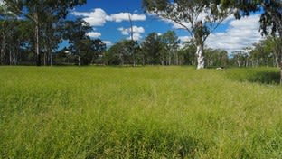 Click to view all images 200 Zangaris Road Biloela QLD 4715 - Image 1