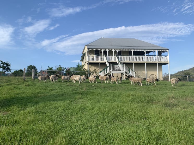 70 Toohill Road Frazerview QLD 4309 - Image 2