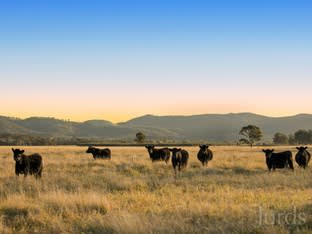 Click to view all images Lot 11 De Beyer's Road Pokolbin NSW 2320 - Image 1