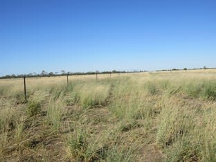 3170 Barcaldine Aramac Road Barcaldine QLD 4725 - Image 2