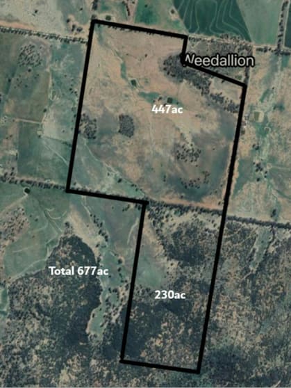 54 Silo Road Young NSW 2594 - Image 3