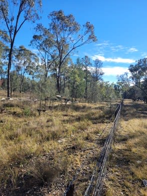 0 Toowoomba-Karara Road Leyburn QLD 4365 - Image 1