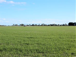 Click to view all images 12932 Dukes Highway Keith SA 5267 - Image 3