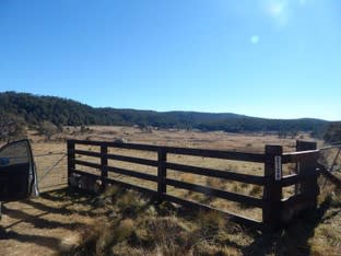 Click to view all images Lot 5 Tuross Road Kybeyan NSW 2631 - Image 1