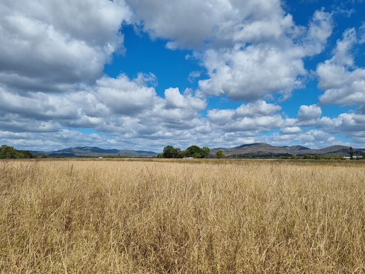 Click to view all images Mutchilba QLD 4872 - Image 3