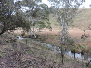Click to view all images Lot 171 Jerrong Road Wiarborough NSW 2580 - Image 3