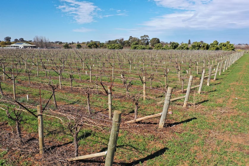 Click to view all images Lot 3/211 Main Avenue Merbein South VIC 3505 - Image 2