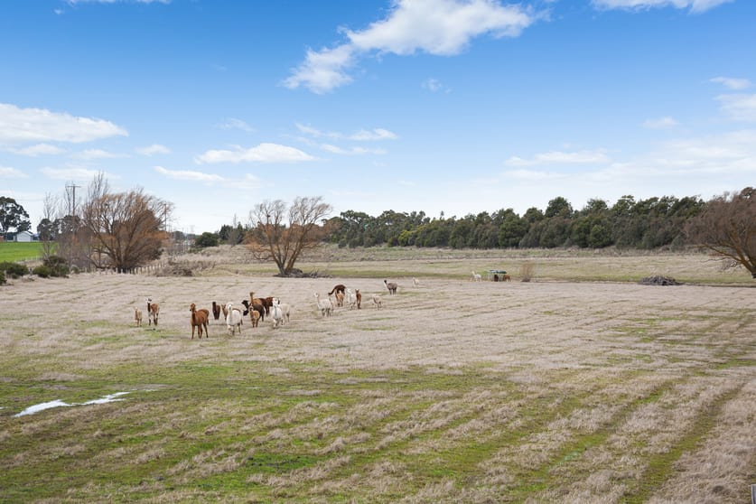 Lot 1 Remembrance Drive Burrumbeet VIC 3352 - Image 3