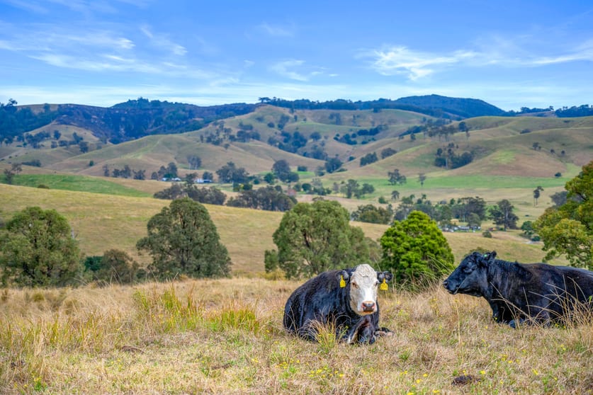 Click to view all images Lot 193/DP752501 Welshmans Creek Road Wallarobba NSW 2420 - Image 1