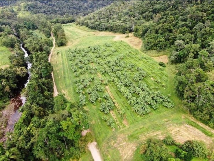 73 Brodies Road Mount Charlton QLD 4741 - Image 3