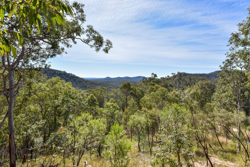 Click to view all images Lot 16 Rocky Creek Road Wollombi NSW 2325 - Image 2