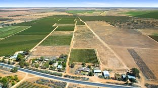 72 Kingston Road Moorook SA 5332 - Image 3