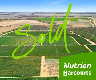 72 Kingston Road Moorook SA 5332 - Image 1
