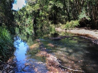 Click to view all images 1518 Terreel Road Gloucester NSW 2422 - Image 1