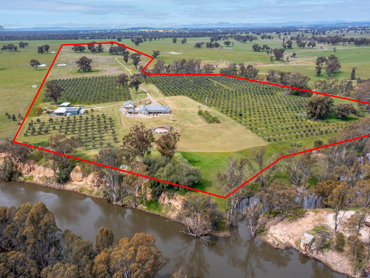 651 Police Paddocks Road Carlyle VIC 3685 - Image 2