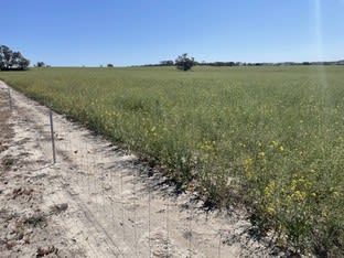 Click to view all images Lot 150 Mawson Road Beverley WA 6304 - Image 3