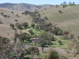 2368 The Bridle Track Bruinbun NSW 2795 - Image 2