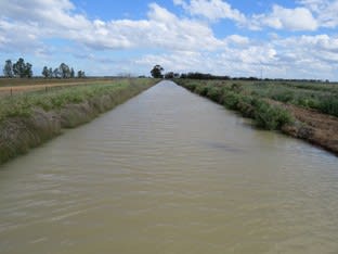 Click to view all images 14 YALOKE ROAD Deniliquin NSW 2710 - Image 2