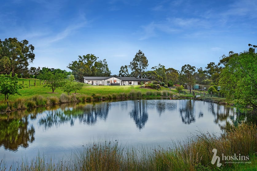 Click to view all images 290 Hunts Lane Steels Creek VIC 3775 - Image 1