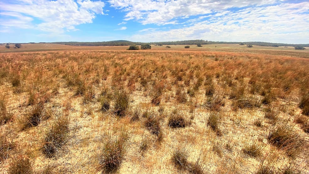 737 Blackett Road Parrakie SA 5301 - Image 3