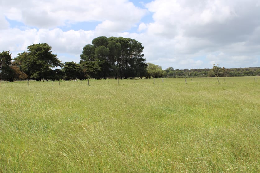 10456 Riddoch Highway Naracoorte SA 5271 - Image 3