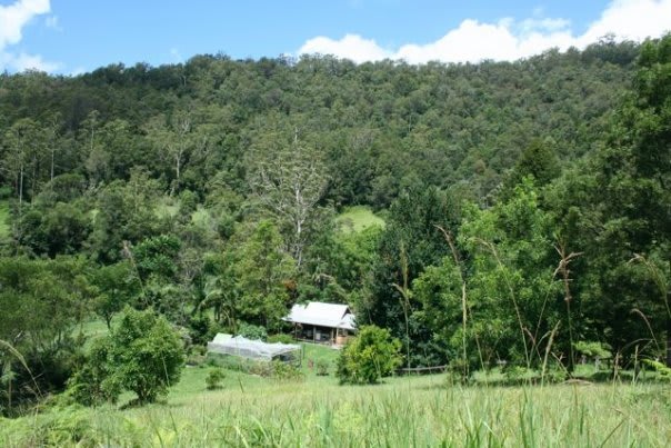 69 Maddrake Chase Girralong NSW 2449 - Image 3