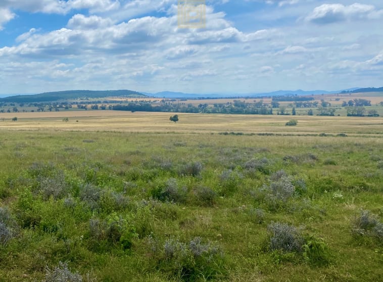 Click to view all images 203 Bakers Road Gunnedah NSW 2380 - Image 1