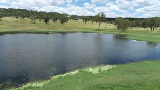 Click to view all images Lot 1, 0 Staatz Road Monto QLD 4630 - Image 1