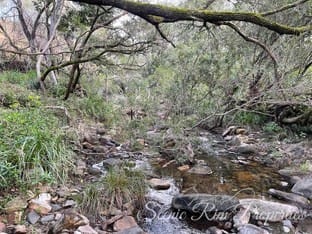 Lot 35 Knapp Creek Road Off Cannon Creek / Maroon Road Maroon QLD 4310 - Image 3