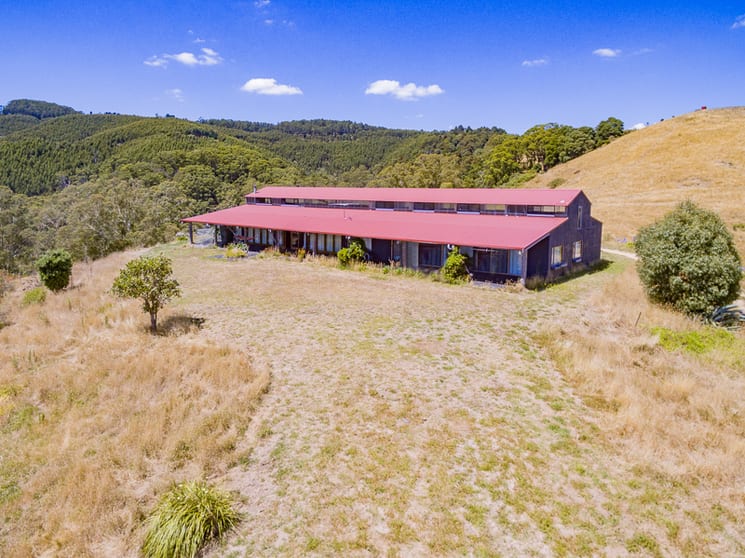 210 Petersons Road Ellinbank VIC 3821 - Image 1