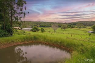218 Stage Coach Road Batar Creek NSW 2439 - Image 3