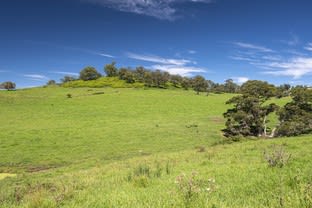 Click to view all images 80 Silverdale Road The Oaks NSW 2570 - Image 3