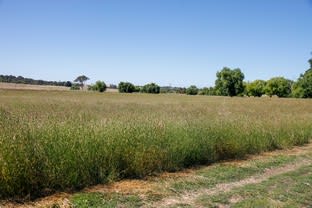 Click to view all images 1007 Coolalie Road Yass NSW 2582 - Image 2