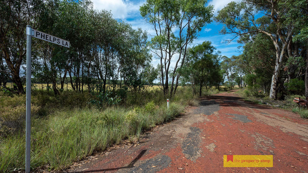 335 Phelps Lane Turill NSW 2850 - Image 1