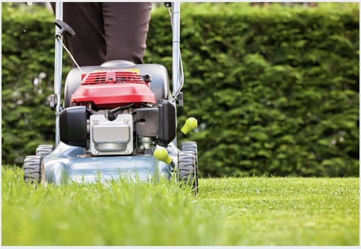 Click to view all images Garden & Household business for sale in Gold Coast Greater Region QLD - Image 1