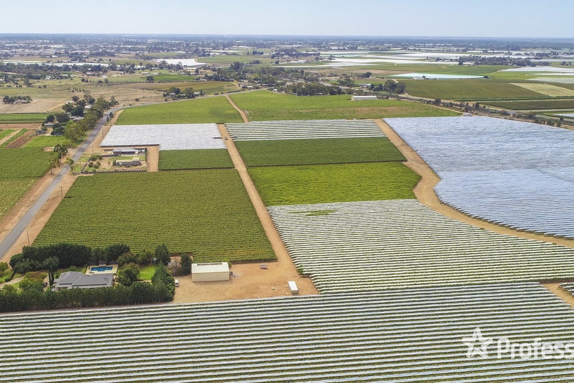 Click to view all images 83a Belar Avenue Extension Irymple VIC 3498 - Image 3