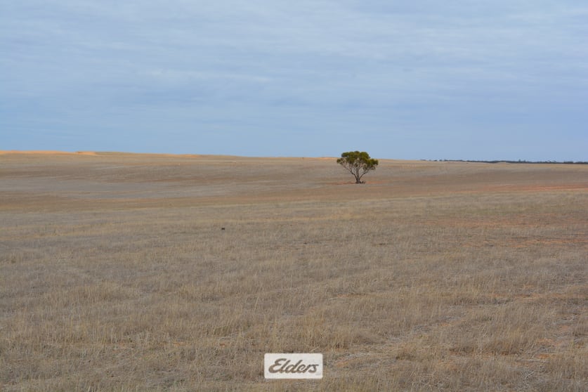 Click to view all images 25 Pallarang – Minifie Road Cowangie VIC 3506 - Image 3