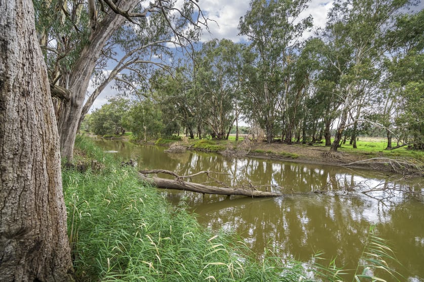 2336 Old Wagga Road Grong Grong NSW 2652 - Image 3