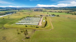 427 Bromelton House Road Gleneagle QLD 4285 - Image 2