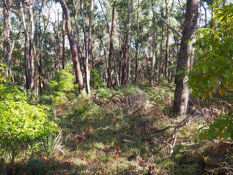 Click to view all images Lot 3 Brewsters Road Yinnar South VIC 3869 - Image 3