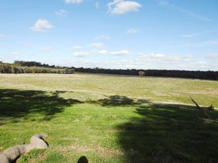 CA 61, Sec A Paynters Road Violet Town VIC 3669 - Image 1