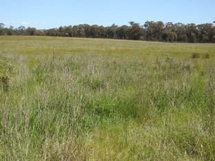 CA 61, Sec A Paynters Road Violet Town VIC 3669 - Image 2