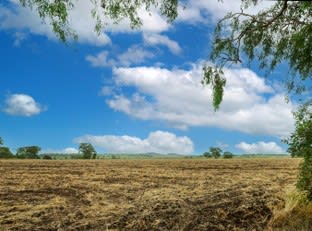 3137 Toowoomba Cecil Plains Road Oakey QLD 4401 - Image 1