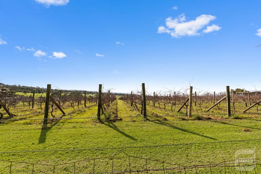 2 Godings Road Moorooduc VIC 3933 - Image 3