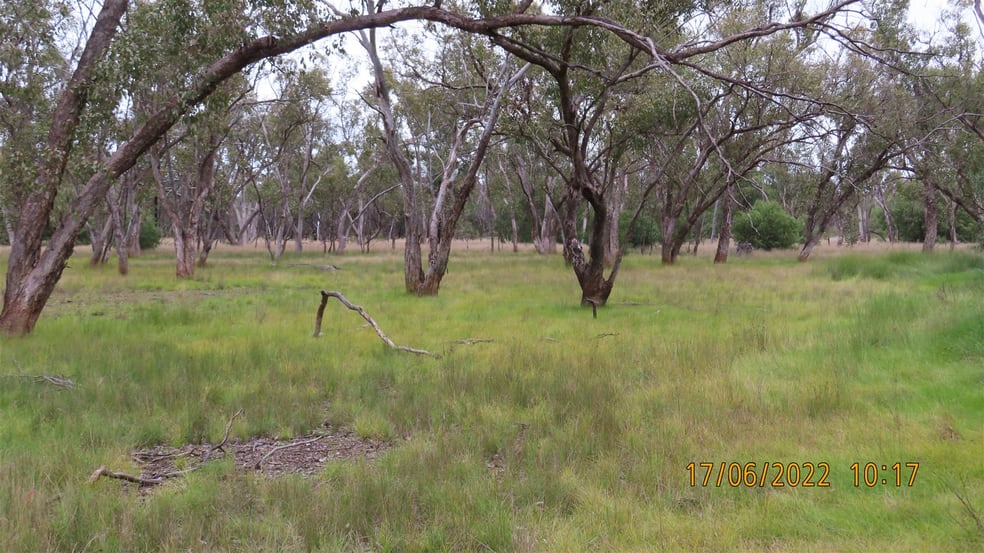 Click to view all images * Booroomugga Station Cobar NSW 2835 - Image 3