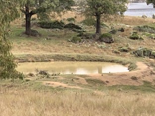 Click to view all images Lot 31, Foggs Crossing Road (Bigga) Cowra NSW 2794 - Image 3