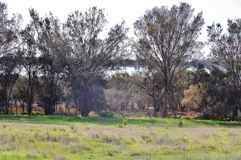 Click to view all images 660 Brockman Road Wagin WA 6315 - Image 2